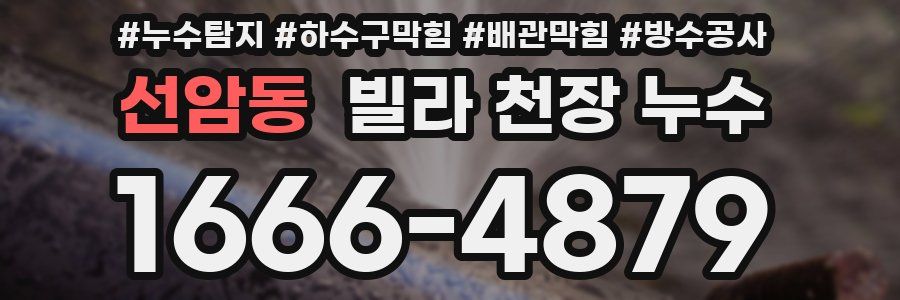 선암동 빌라 천장 누수