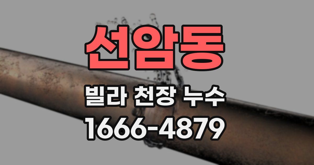 선암동 빌라 천장 누수