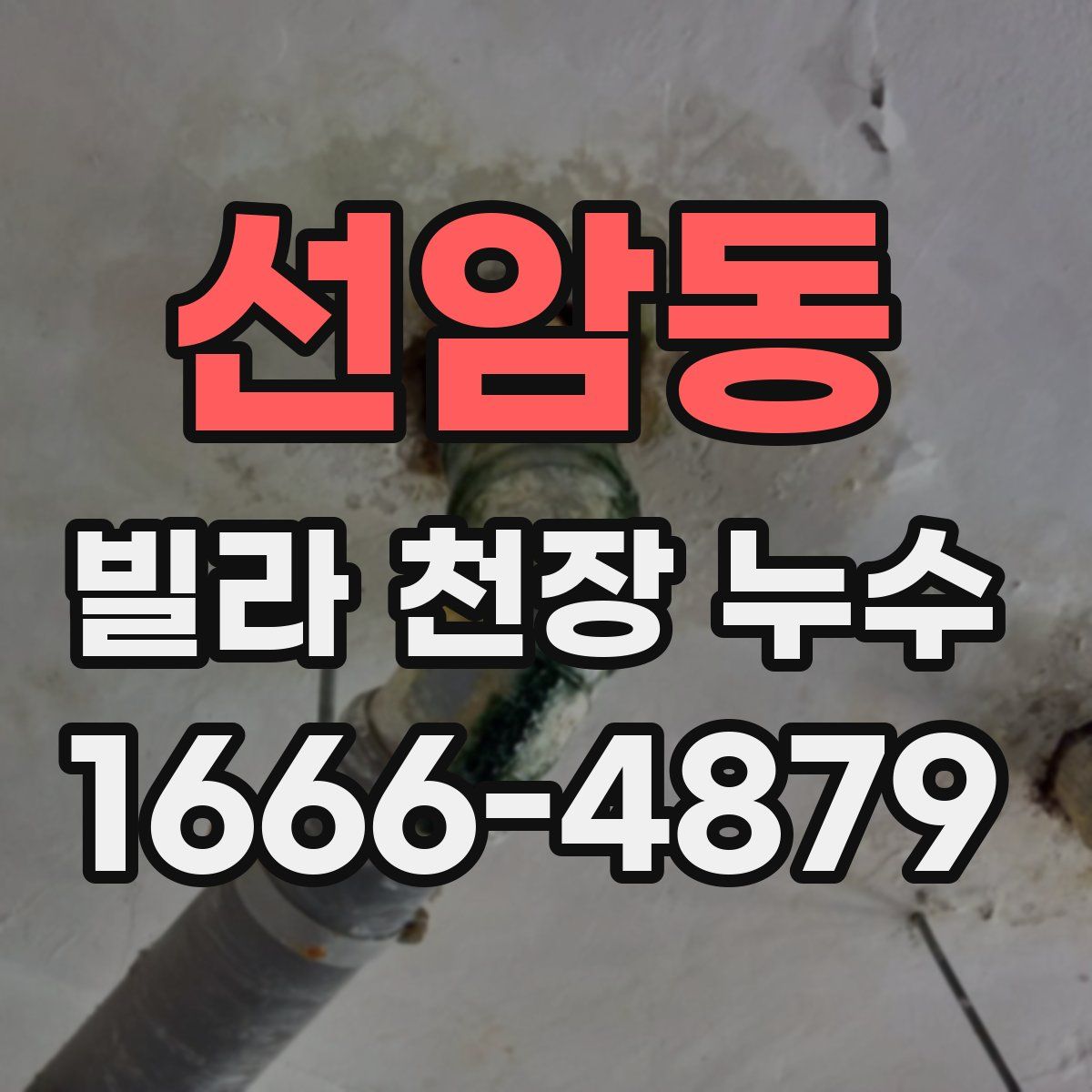 선암동 빌라 천장 누수