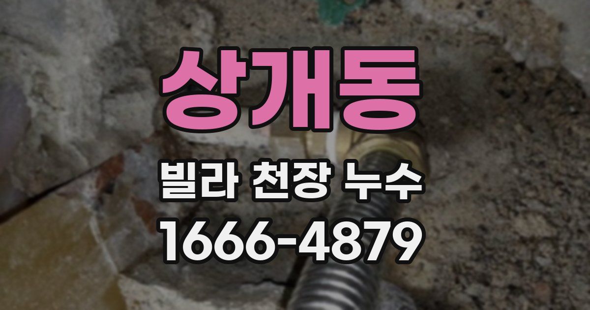 상개동 빌라 천장 누수
