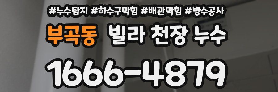 부곡동 빌라 천장 누수