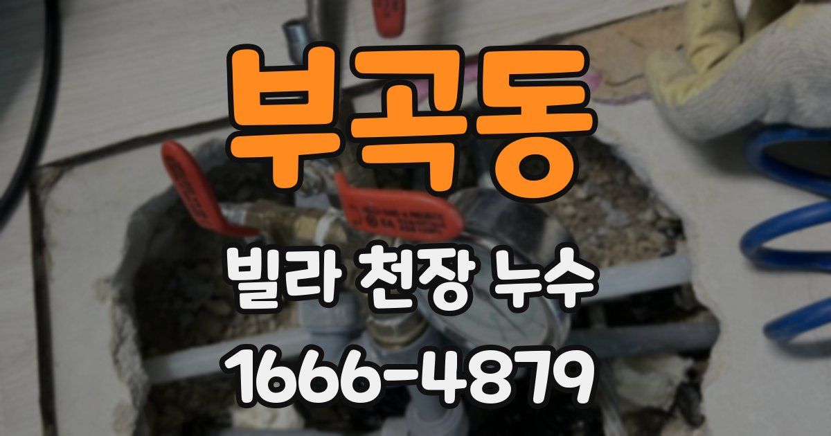 부곡동 빌라 천장 누수