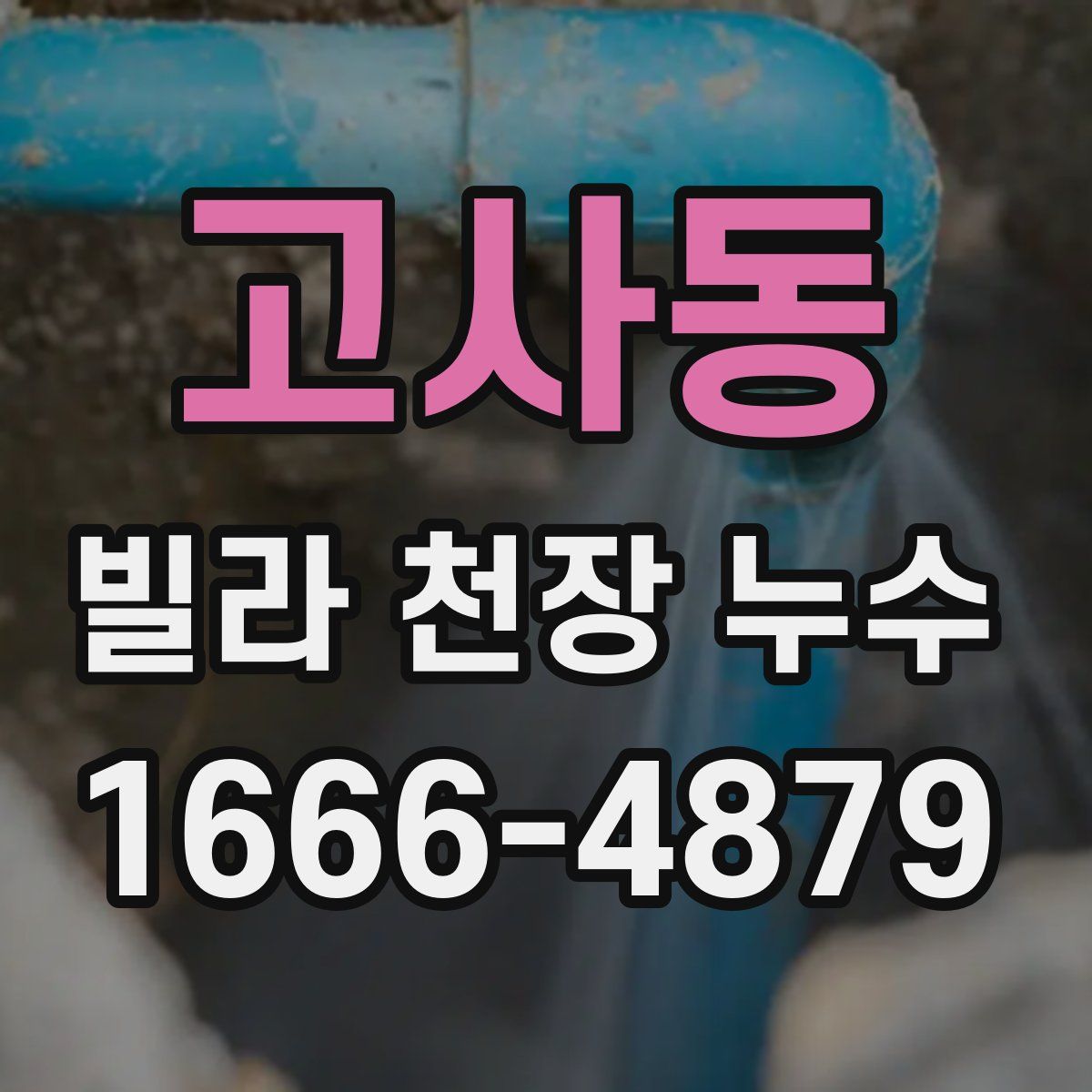 고사동 빌라 천장 누수