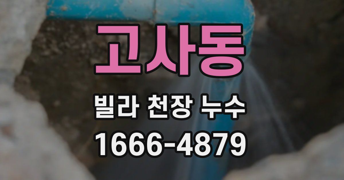 고사동 빌라 천장 누수