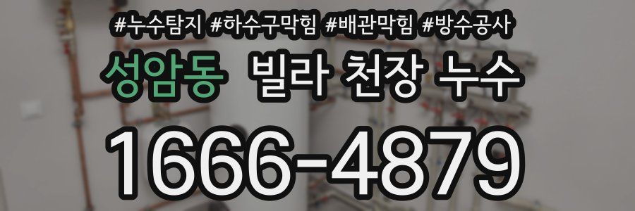 성암동 빌라 천장 누수