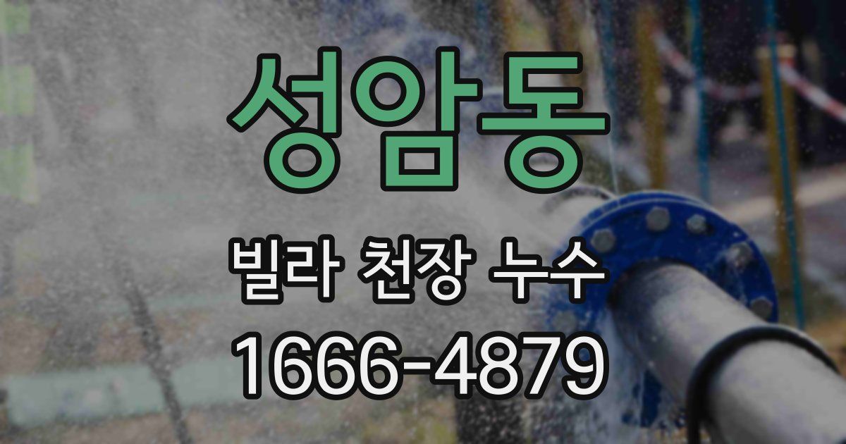 성암동 빌라 천장 누수