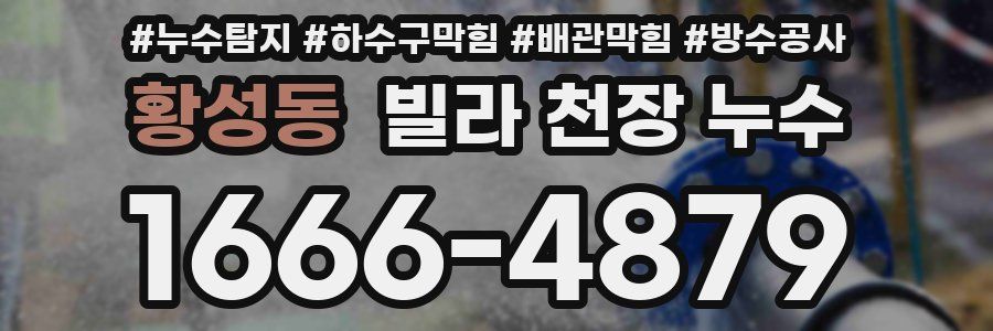 황성동 빌라 천장 누수