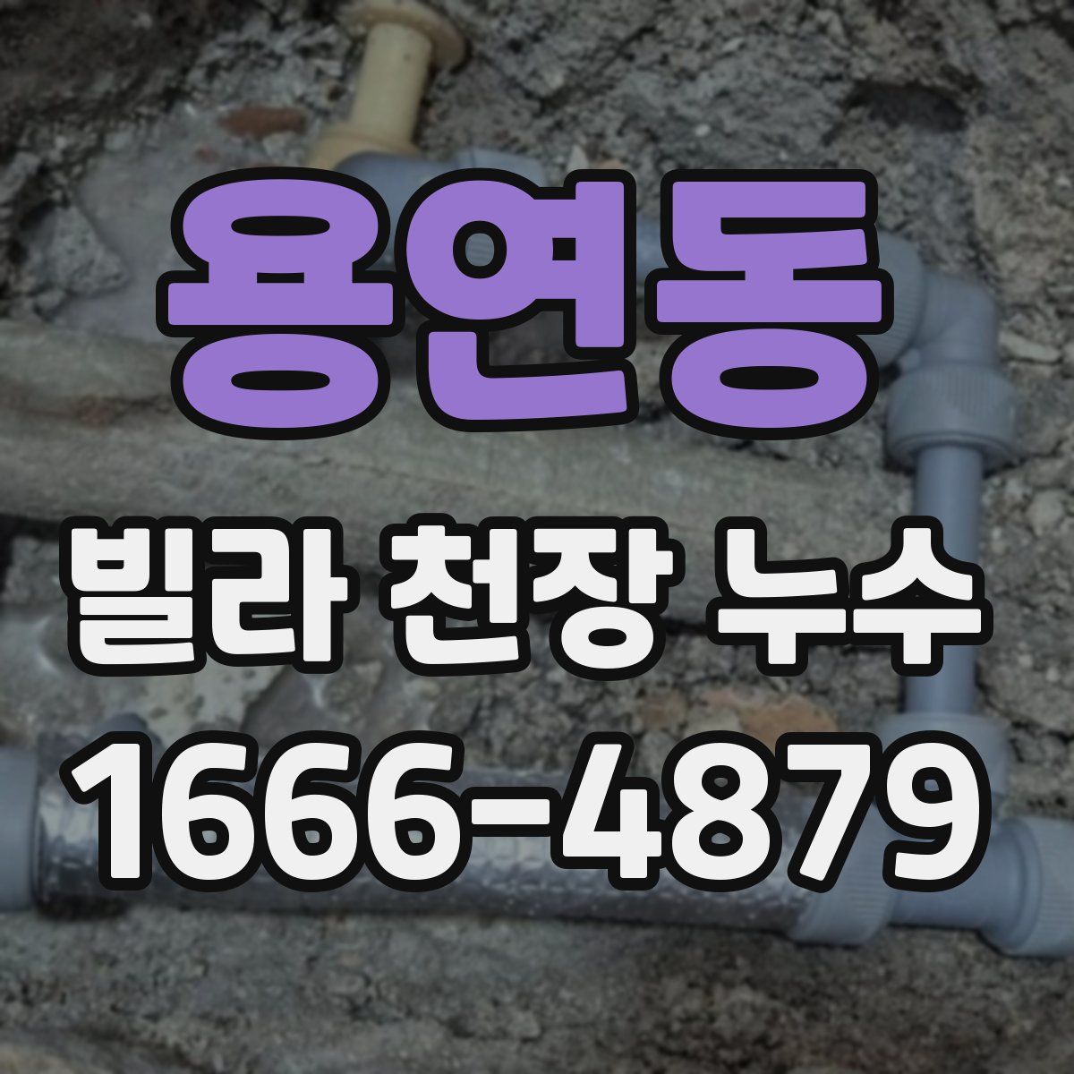 용연동 빌라 천장 누수
