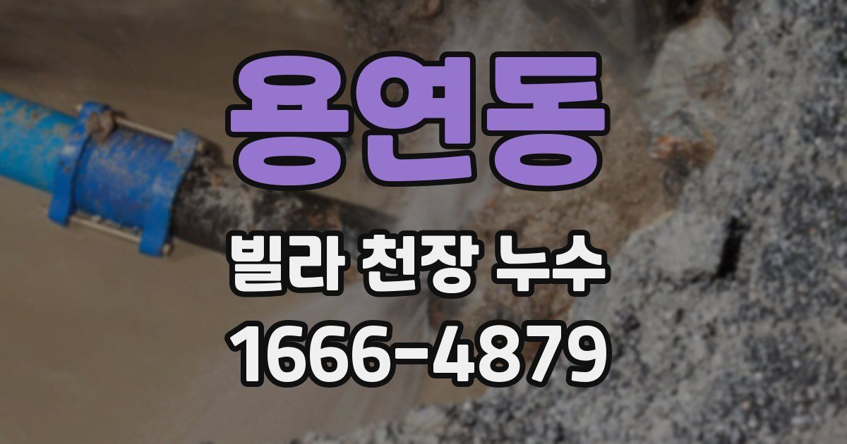 용연동 빌라 천장 누수