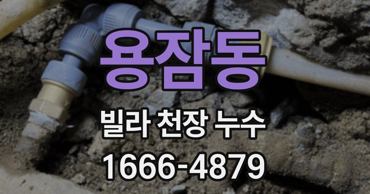 용잠동 빌라 천장 누수