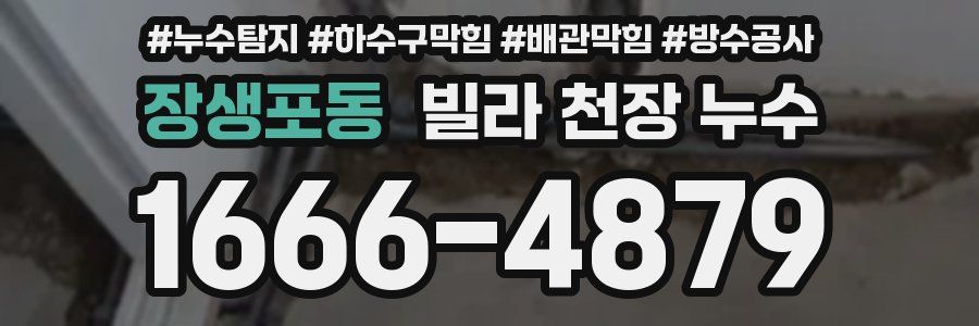 장생포동 빌라 천장 누수