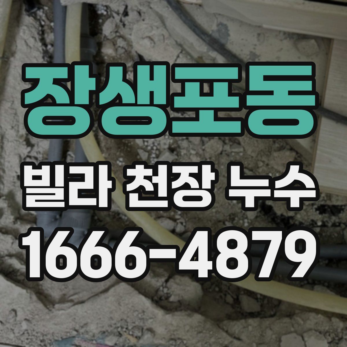 장생포동 빌라 천장 누수