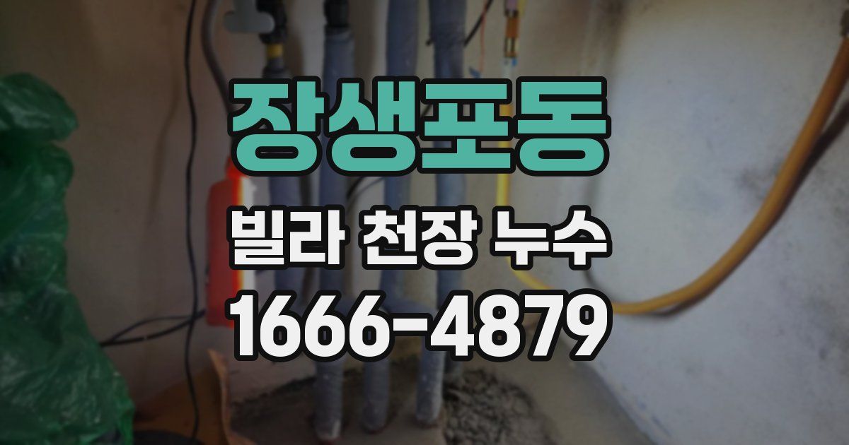 장생포동 빌라 천장 누수