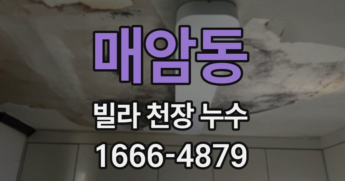매암동 빌라 천장 누수