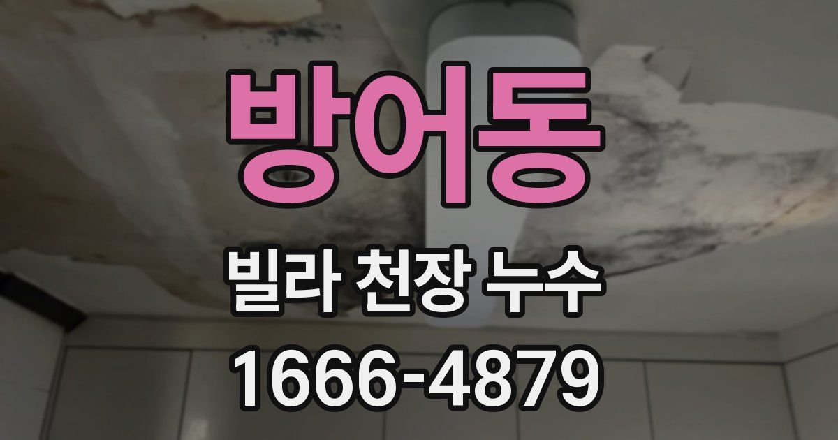 방어동 빌라 천장 누수