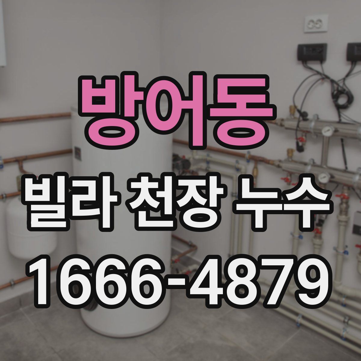 방어동 빌라 천장 누수