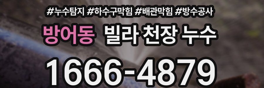 방어동 빌라 천장 누수