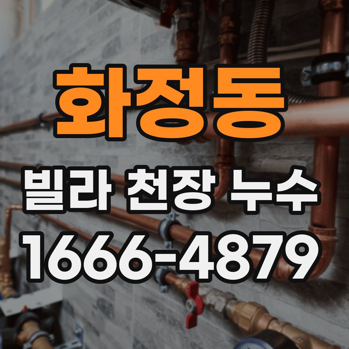 화정동 빌라 천장 누수