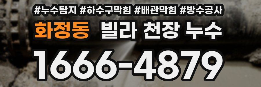 화정동 빌라 천장 누수