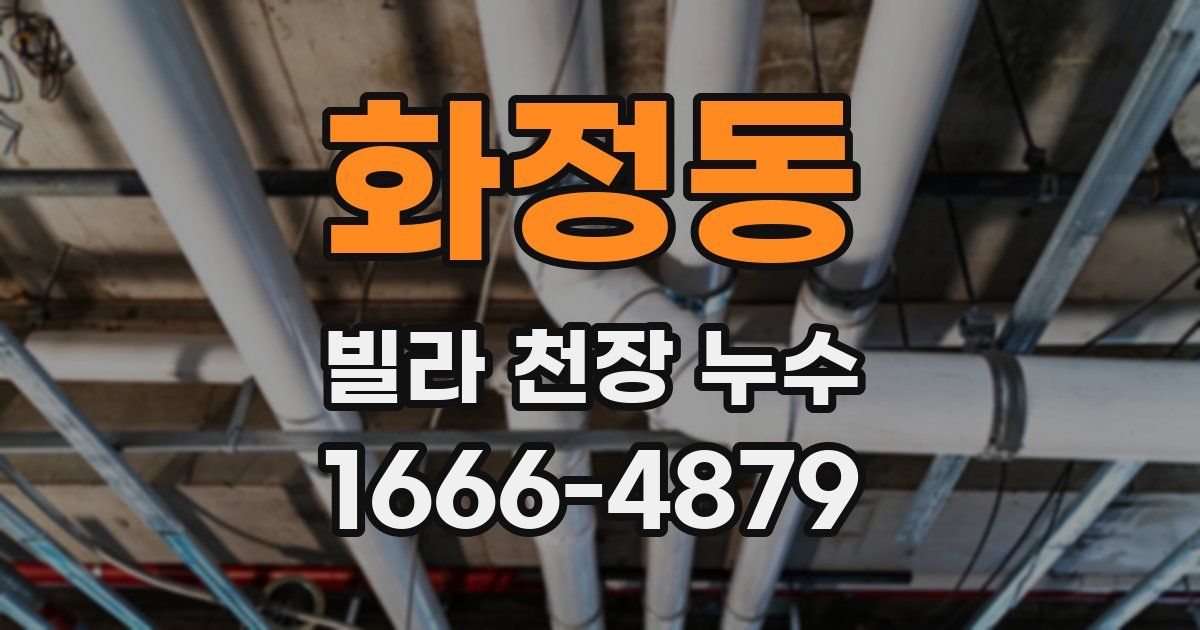 화정동 빌라 천장 누수