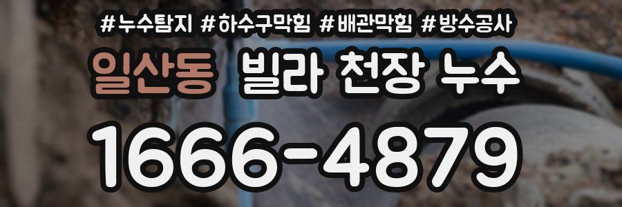 일산동 빌라 천장 누수