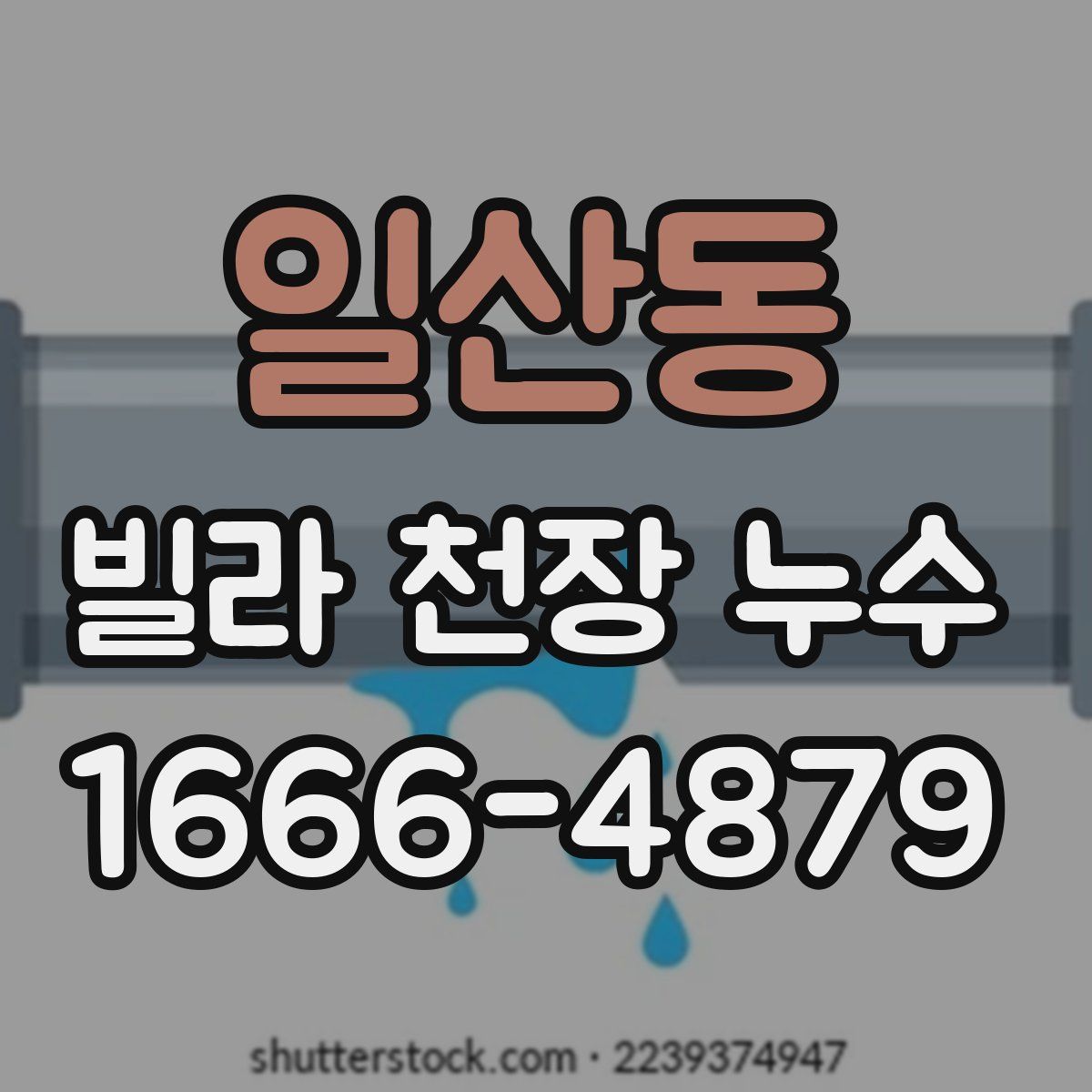 일산동 빌라 천장 누수