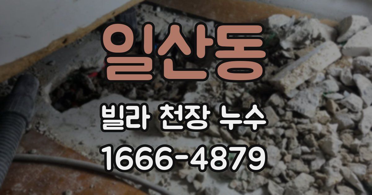 일산동 빌라 천장 누수