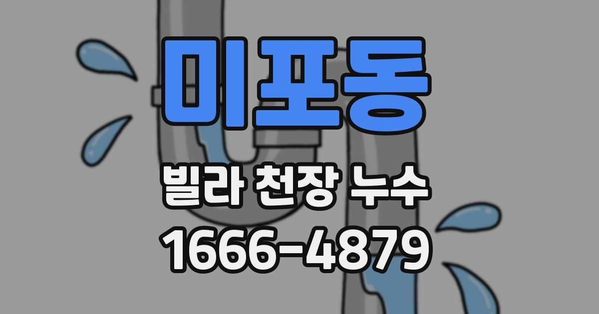 미포동 빌라 천장 누수