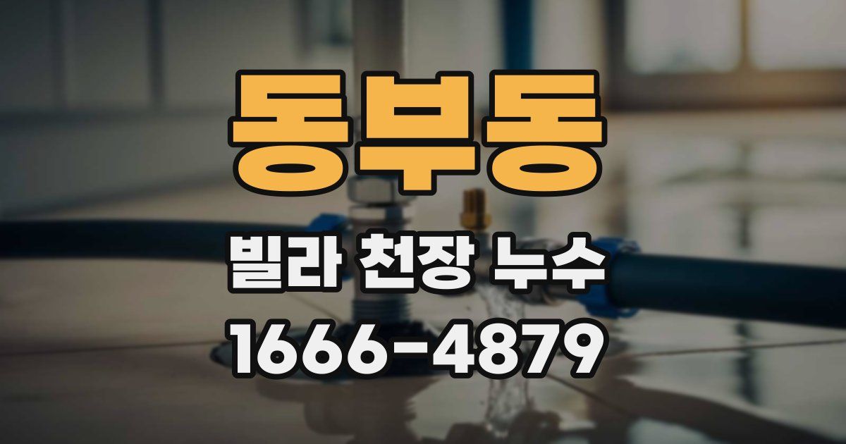 동부동 빌라 천장 누수
