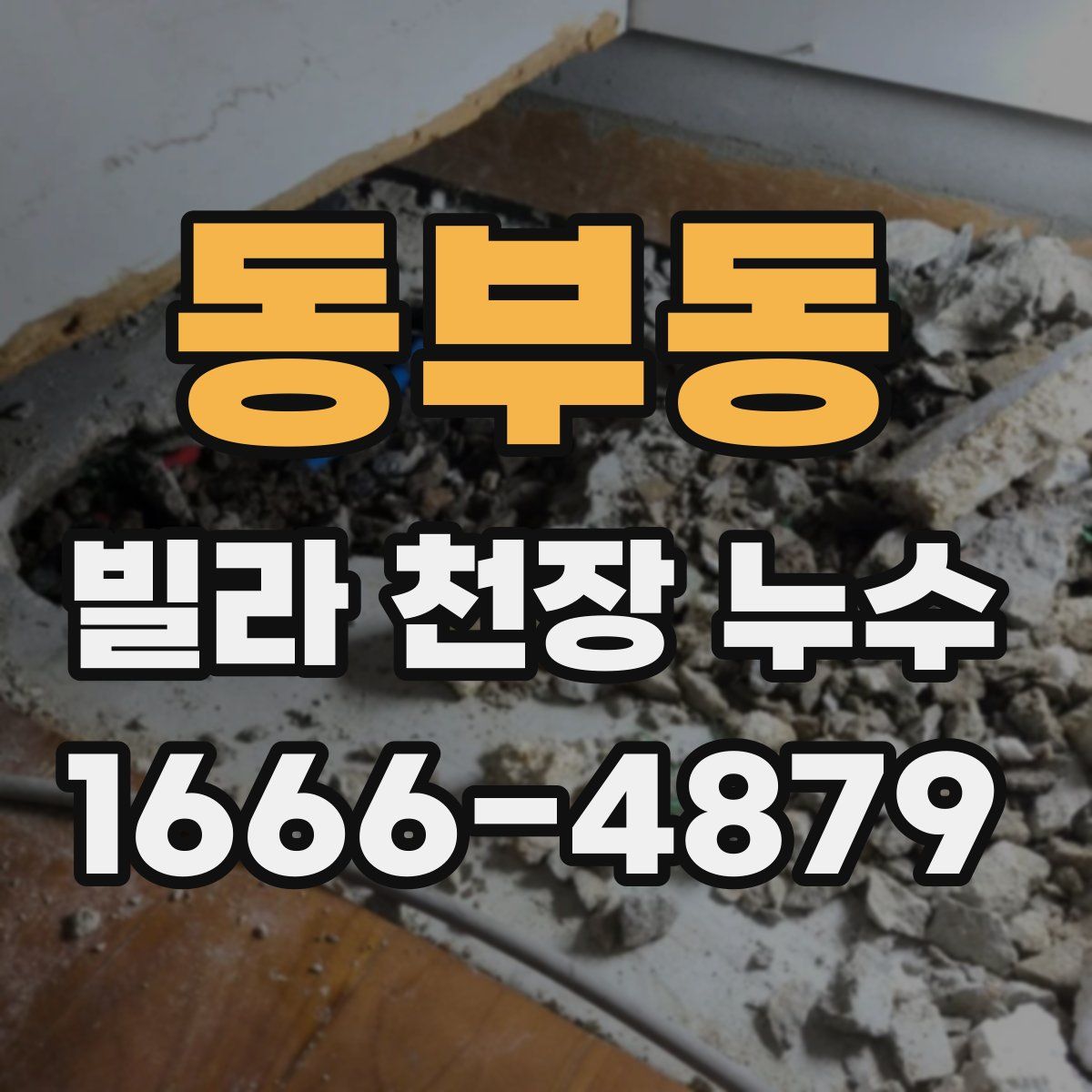 동부동 빌라 천장 누수