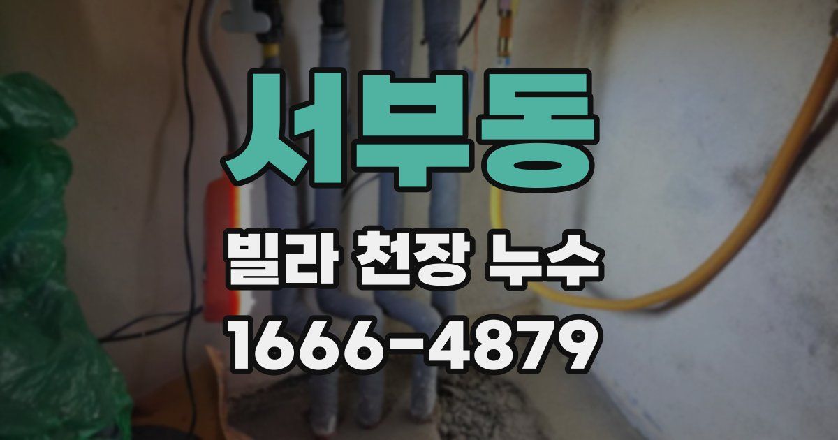 서부동 빌라 천장 누수