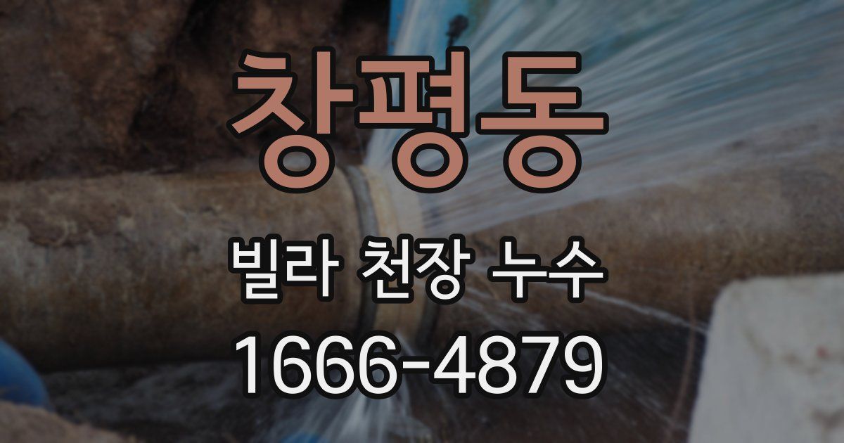 창평동 빌라 천장 누수