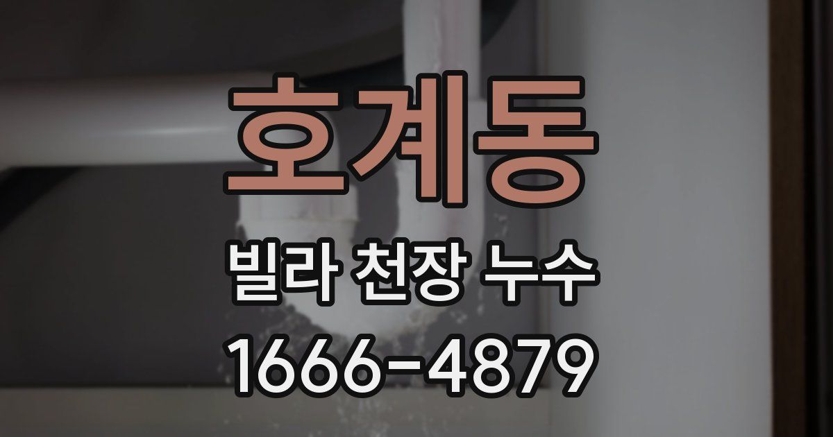 호계동 빌라 천장 누수