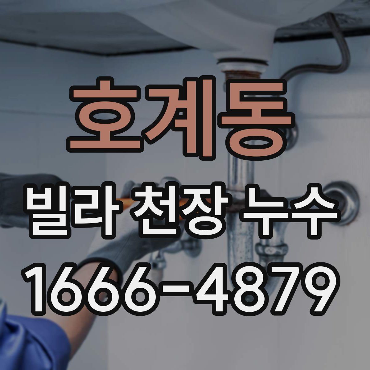 호계동 빌라 천장 누수