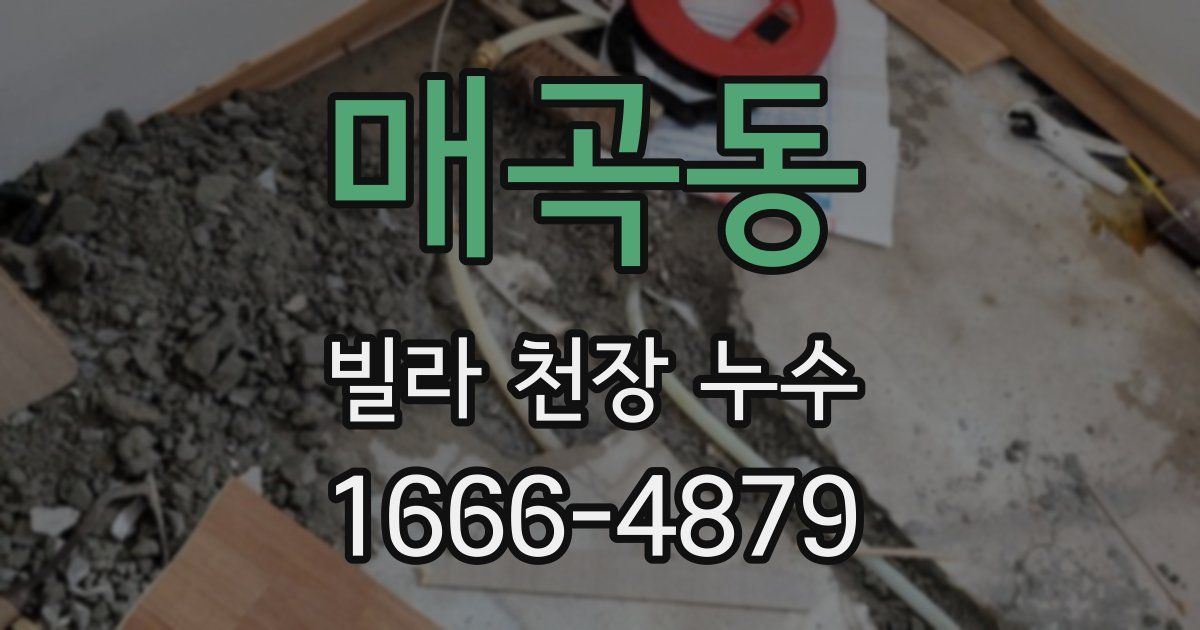 매곡동 빌라 천장 누수