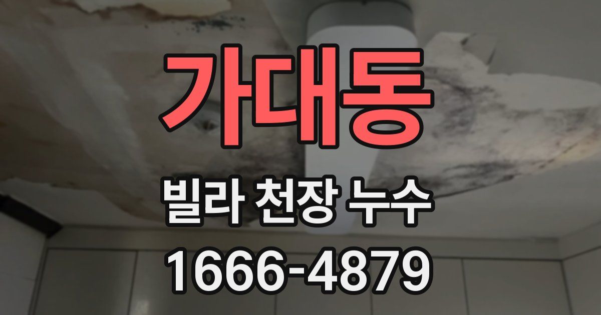 가대동 빌라 천장 누수