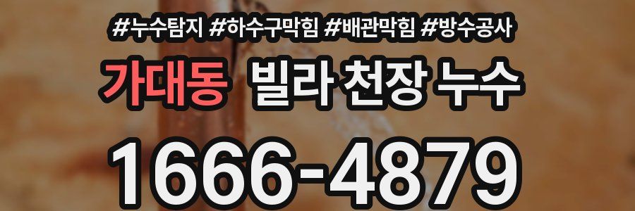 가대동 빌라 천장 누수