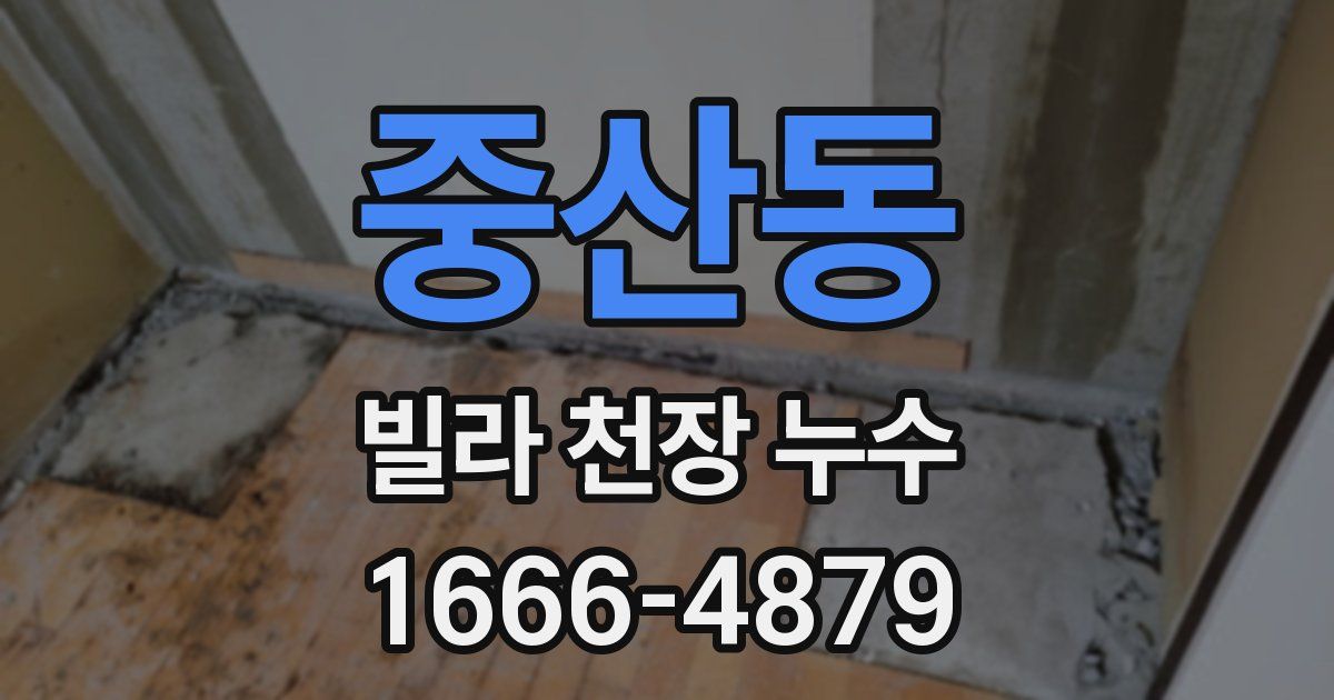 중산동 빌라 천장 누수
