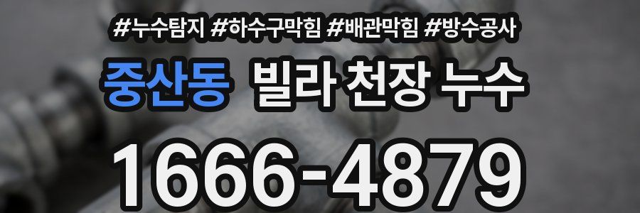 중산동 빌라 천장 누수