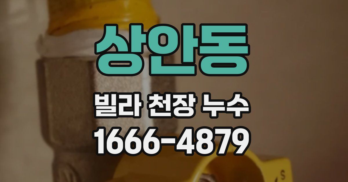상안동 빌라 천장 누수