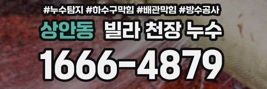 상안동 빌라 천장 누수