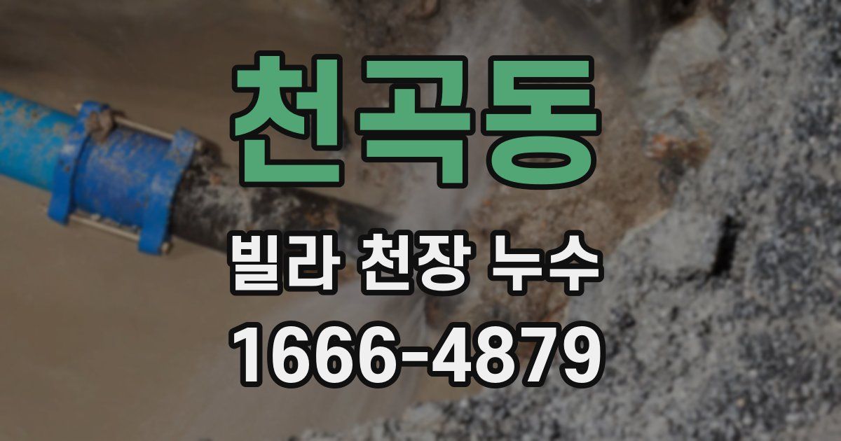천곡동 빌라 천장 누수