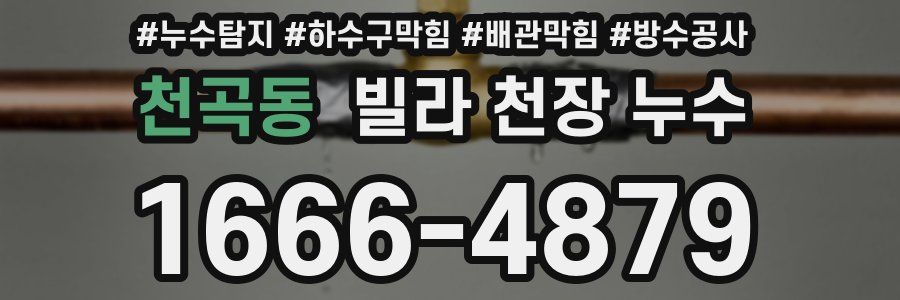 천곡동 빌라 천장 누수