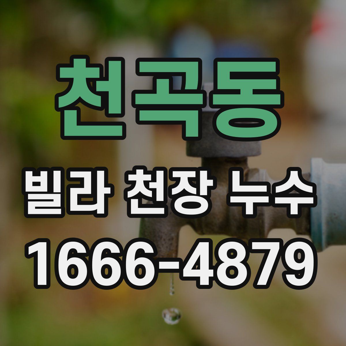 천곡동 빌라 천장 누수