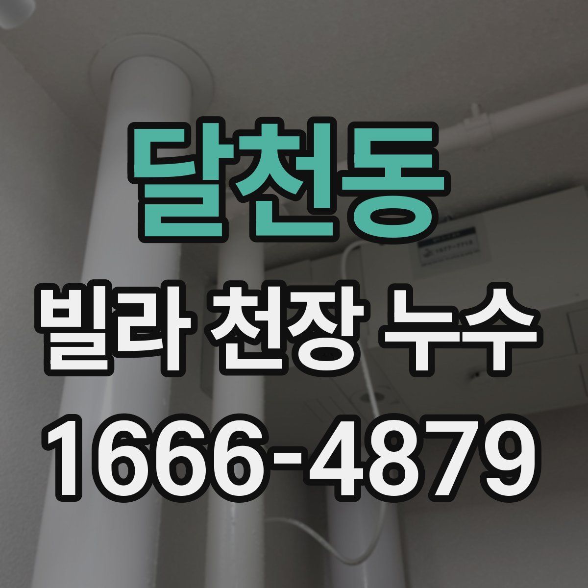 달천동 빌라 천장 누수