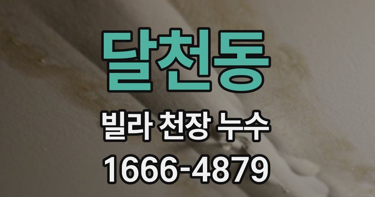 달천동 빌라 천장 누수