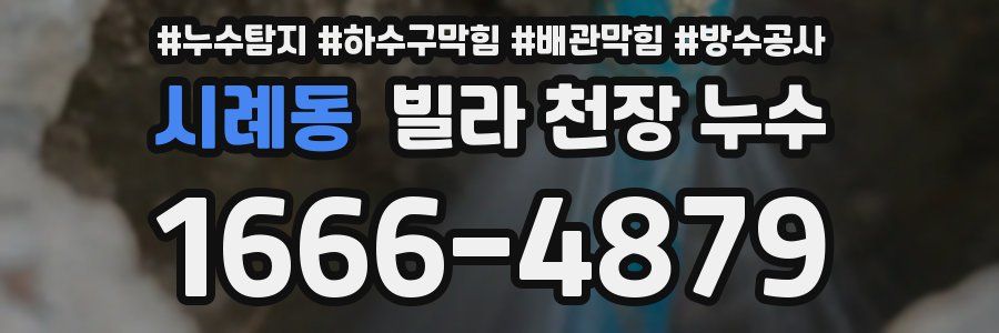 시례동 빌라 천장 누수