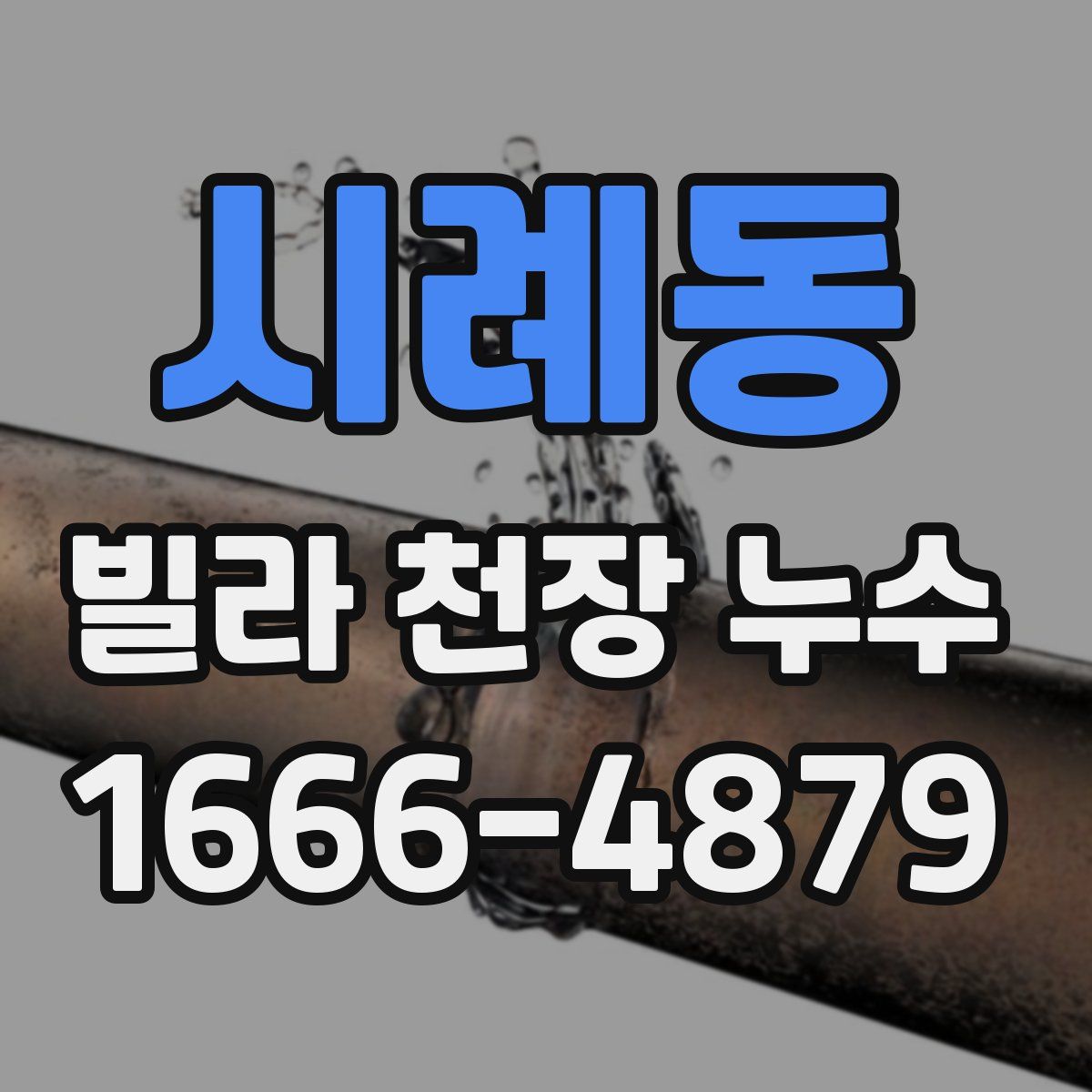 시례동 빌라 천장 누수