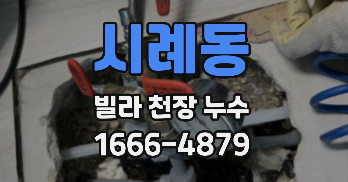 시례동 빌라 천장 누수