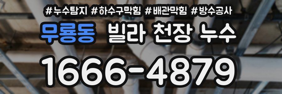 무룡동 빌라 천장 누수